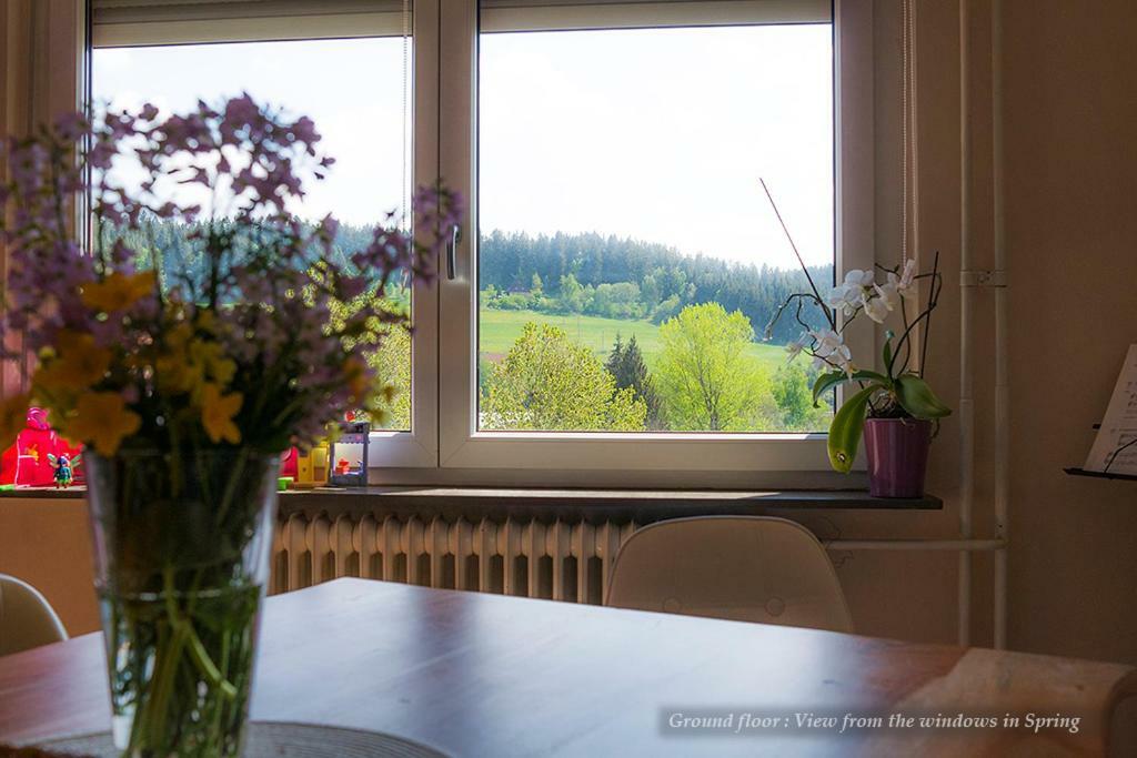 Entire House In Schwarzwald With Mountain View, Private Gym,Sauna And Garden Villa Unterkirnach ภายนอก รูปภาพ